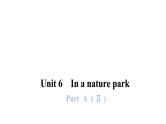 PEP版小学英语五年级上册3Unit6-- PartA (Ⅱ)课件