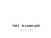 PEP版小学英语五年级上册4Unit6-- PartA (Ⅲ)课件