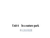 PEP版小學(xué)英語五年級(jí)上冊(cè)10Unit6單元知識(shí)拓展課件