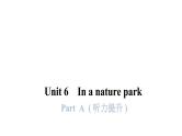 PEP版小学英语五年级上册Unit6-- PartA (听力提升)课件