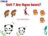 陕旅版（三年级起）小学三年级英语上册 Unit 7 Are These Bears   课件2