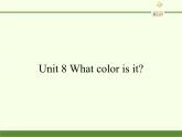 陕旅版（三年级起）小学三年级英语上册 Unit 8 What Color Is It   课件4