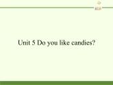 陕旅版（三年级起）小学三年级英语下册 Unit 5 Do You Like Candies    课件3