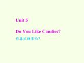 陕旅版（三年级起）小学三年级英语下册 Unit 5 Do You Like Candies    课件3