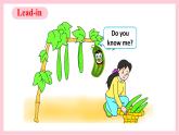 人教精通版英語(yǔ)四年級(jí)上冊(cè) Lesson 16課件+素材