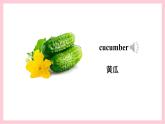 人教精通版英語(yǔ)四年級(jí)上冊(cè) Lesson 16課件+素材