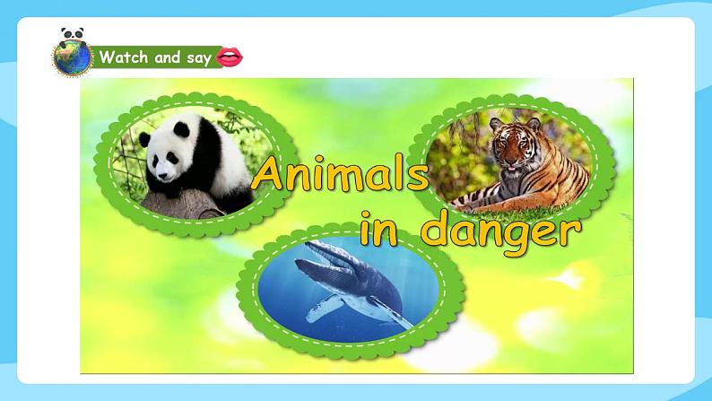 沪教牛津版_(六三制三起)英语六年级上学期 Unit 5《Animals in danger》（2）课件+教案（无音频素材）02