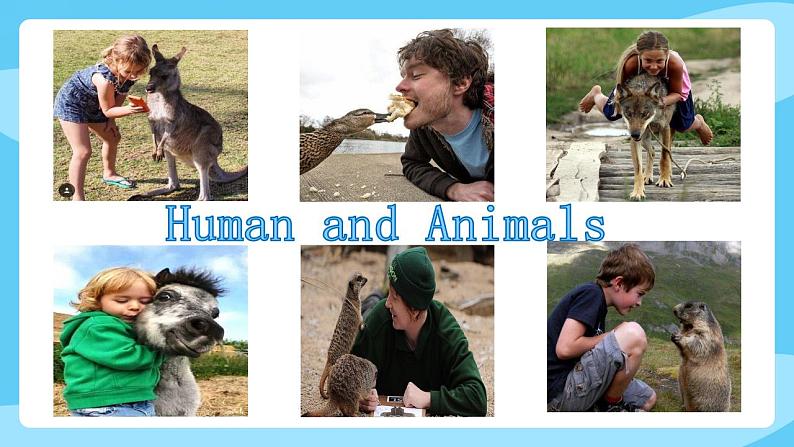 沪教牛津版_(六三制三起)英语六年级上学期 Unit 5《Animals in danger》（3）课件第4页