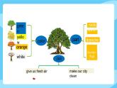 沪教牛津版_(六三制三起)英语六年级上学期 Unit 11《Trees》（1）课件+教案（无音频素材）