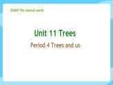 沪教牛津版_(六三制三起)英语六年级上学期 Unit 11《Trees》（4）课件+教案（无音频素材）