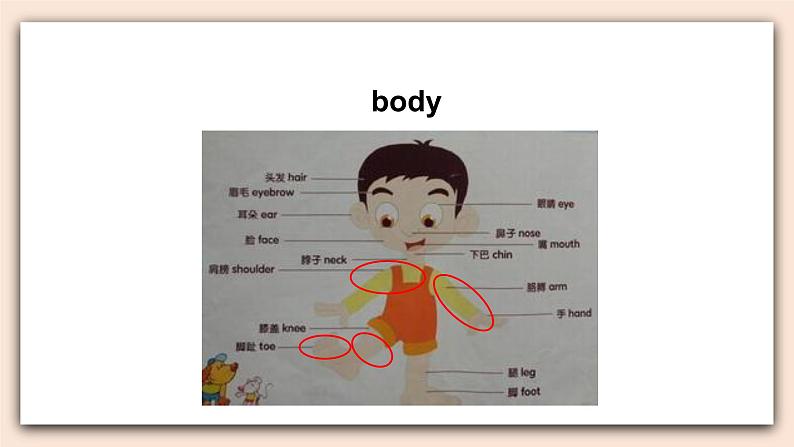 教科版英语4上 Unit7 《Let‘s go swimming》第1课时 课件05