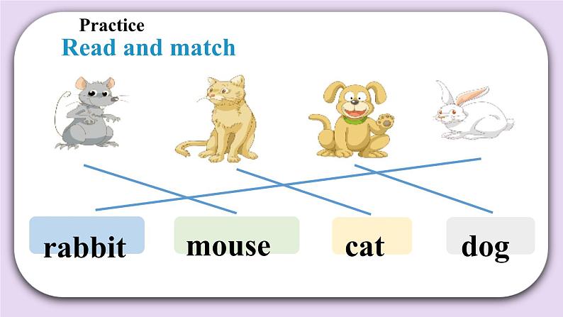 Module 4 Unit 11  Small animals  Period 1课件07