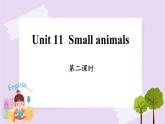 Module 4 Unit 11  Small animals  Period 2 课件