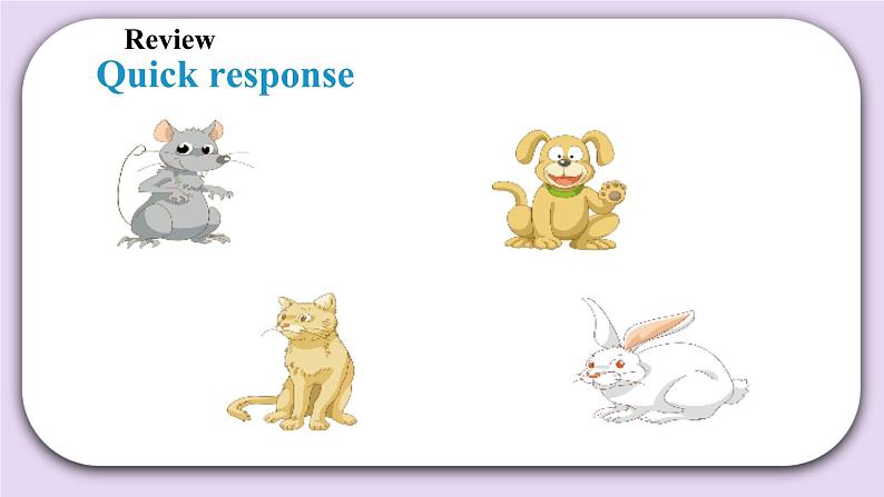 Module 4 Unit 11  Small animals  Period 2 课件02