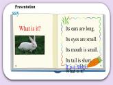 Module 4 Unit 11  Small animals  Period 2 课件