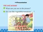 陕旅版（三年级起）小学五年级英语下册 Unit 4 He Lives in a Village   课件2