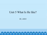 陕旅版（三年级起）小学六年级英语下册 Unit 5 What Is He like  课件2