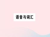2023六年级英语下册专项提升练语音与词汇作业课件外研版三起