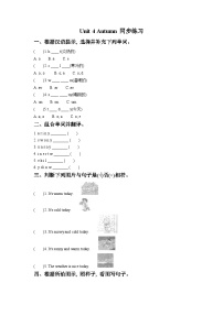 小学英语牛津译林版二年级上册Unit 4 Autumn精品课时训练