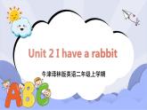 牛津译林版英语二年级上册 Unit 2 I have a rabbit 第1课时 课件+教案+练习+素材