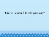 鲁科版（五四制）小学三年级英语下册 Unit 2 Clothes  Lesson 2   课件