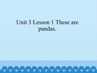 三年级下册Lesson 1 These are pandas.说课ppt课件