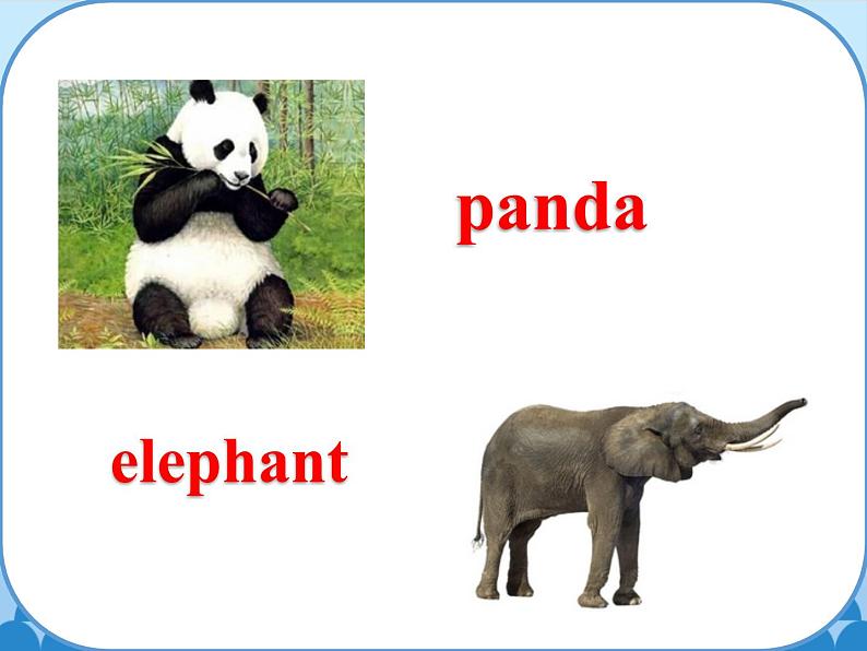 鲁科版（五四制）小学三年级英语下册 Unit 3 Animals  Lesson 1   课件第4页