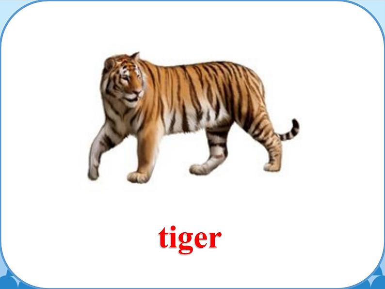 鲁科版（五四制）小学三年级英语下册 Unit 3 Animals  Lesson 1   课件第6页