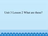 鲁科版（五四制）小学三年级英语下册 Unit 3 Animals  Lesson 2   课件