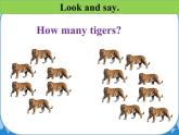 鲁科版（五四制）小学三年级英语下册 Unit 3 Animals  Lesson 3   课件