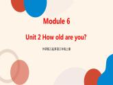 外研版（三起）英语三年级上册 Module 6 Unit 2 How old are you（课件）