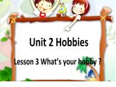 鲁科版（五四制）小学四年级英语上册 Unit 2 Hobbies  Lesson 3   课件1
