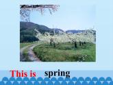 鲁科版（五四制）小学四年级英语上册 Unit 4 Seasons  Lesson 4   课件