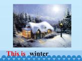 鲁科版（五四制）小学四年级英语上册 Unit 4 Seasons  Lesson 4   课件