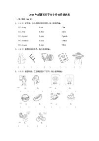 2023年新疆石河子市小升初英语试卷（文字版含答案解析）