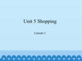 鲁科版（五四制）小学四年级英语下册 Unit 5 Shopping  Lesson 1   课件