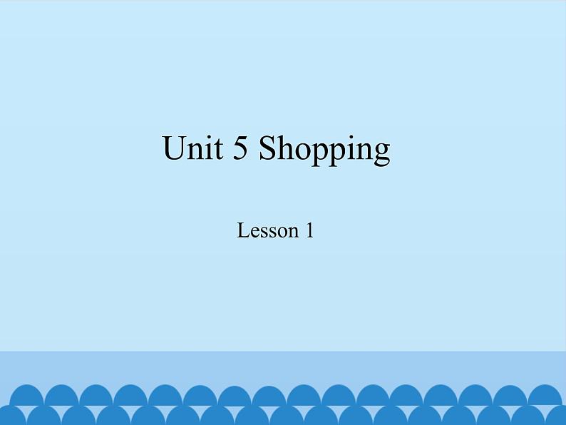 鲁科版（五四制）小学四年级英语下册 Unit 5 Shopping  Lesson 1   课件第1页