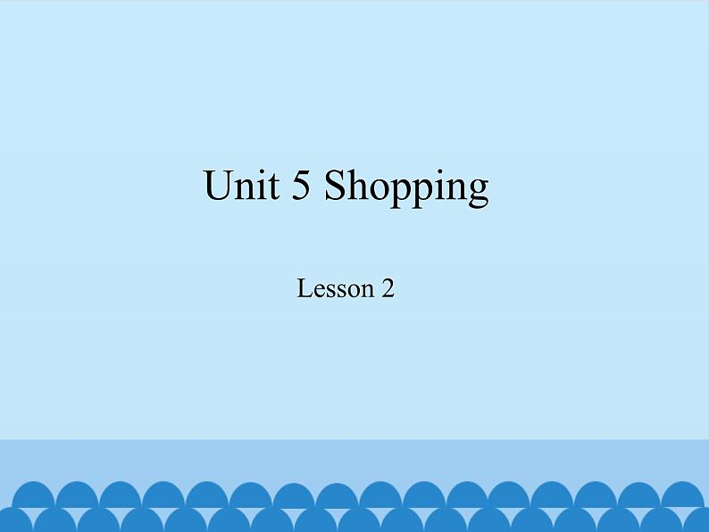 鲁科版（五四制）小学四年级英语下册 Unit 5 Shopping  Lesson 2   课件第1页