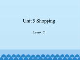 鲁科版（五四制）小学四年级英语下册 Unit 5 Shopping  Lesson 2   课件