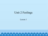 魯科版（五四制）小學(xué)五年級(jí)英語上冊(cè) Unit 2 Feelings  Lesson 1     課件