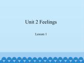 鲁科版（五四制）小学五年级英语上册 Unit 2 Feelings  Lesson 1     课件