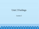 魯科版（五四制）小學(xué)五年級(jí)英語上冊(cè) Unit 2 Feelings  Lesson 2     課件