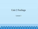 鲁科版（五四制）小学五年级英语上册 Unit 2 Feelings  Lesson 3     课件