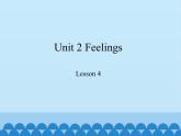 鲁科版（五四制）小学五年级英语上册 Unit 2 Feelings  Lesson 4     课件