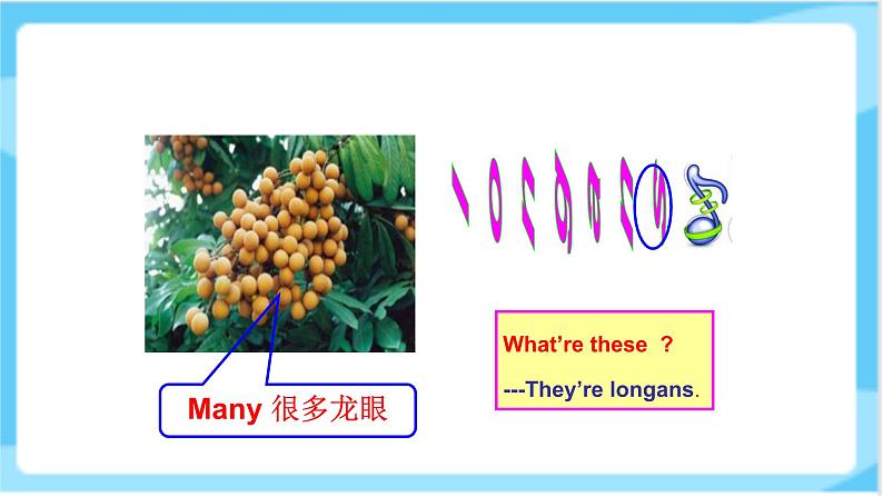 人教精通版五年级上册英语-Unit6 It’s a grapefruit.  lesson36 课件+教案+练习+素材06