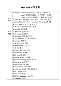 【同步导学案】外研版（三起）英语五年级上册-第九模块学案（导学案）