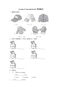 英语四年级上册Lesson 3 Coat and Scarf精品课时作业