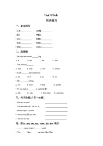 小学英语牛津译林版四年级上册Unit 8 Dolls优秀同步训练题