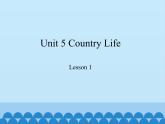 鲁科版（五四制）小学五年级英语下册 Unit 5 Country Life  Lesson 1  课件
