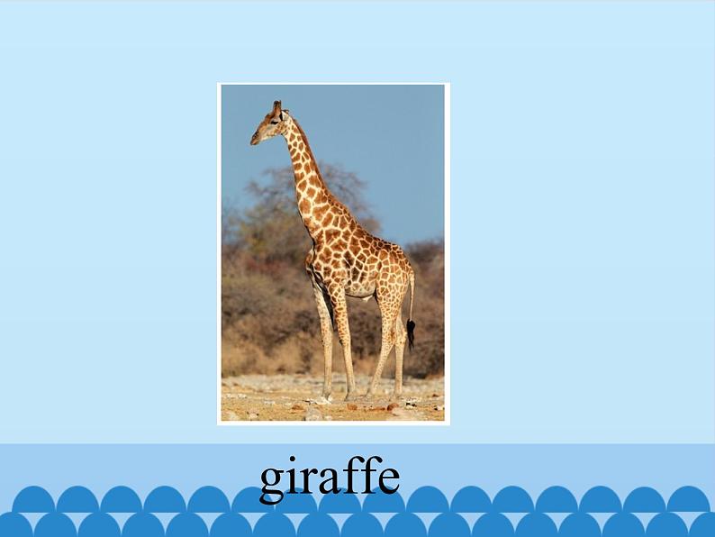 川教版（三年级起点）小学三年级英语下册 Lesson F  What's That   课件05